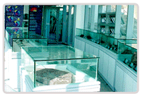 Natural History exhibition